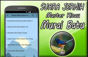 Masteran Murai Batu Mp3 Full Offline screenshot 2