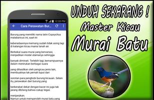 3 Schermata Masteran Murai Batu Mp3 Full Offline