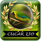 Masteran Cucak Ijo Gacor Mp3 Offline أيقونة