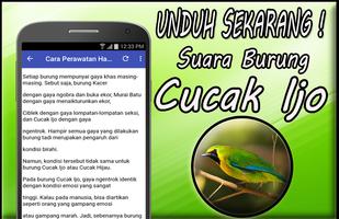 Masteran Cucak Ijo Gacor Mp3 Offline capture d'écran 3