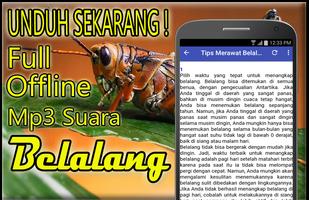 Suara Belalang Mp3 Offline capture d'écran 3