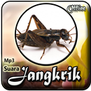 Suara Jangkrik Mp3 Offline APK