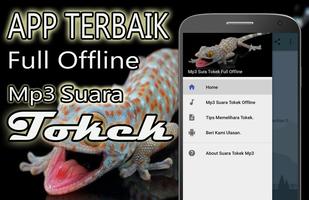 Suara Tokek Mp3 Offline Affiche