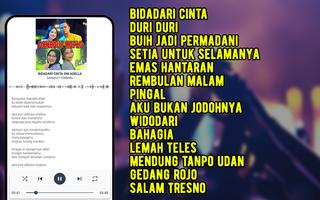 Lagu Dangdut Bidadari Cinta capture d'écran 3
