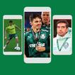 Palmeiras Papel de Parede - HD icon