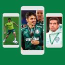 Palmeiras Papel de Parede - HD aplikacja