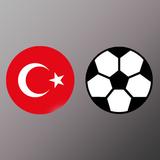 Türkiye Süper Lig Simülasyon icône