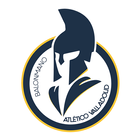 BM Atlético Valladolid icon