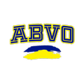 Baloncesto Villaviciosa Odón