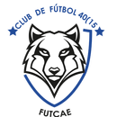 Club de Futbol 40(15 APK