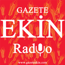 Gazete Ekin Radyo APK
