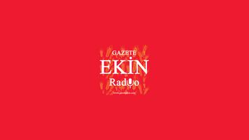 Gazete Ekin Radyo screenshot 2