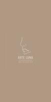 Arte Luna plakat