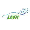 LAVII