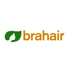Brahair biểu tượng