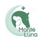 Monte Luna icône