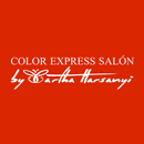 Color Express Salon aplikacja