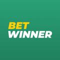 BetWinner Guide