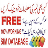 Icona Sim Owner Details