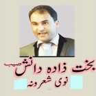 Bakhzada Danish Pashto Poetry/Shairi Offline آئیکن
