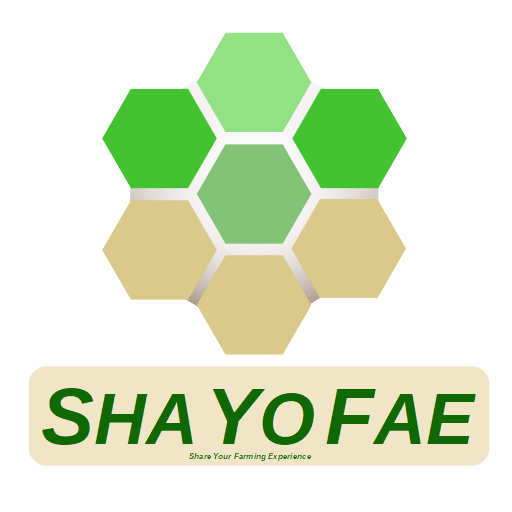 ShaYoFae : farming experience