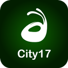 City17 Display Manager icône