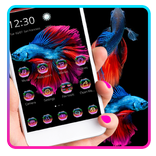 ベタの魚のテーマ