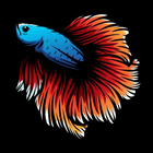 Types of Rare Betta Fish ikona