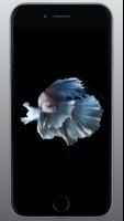 betta fish يعيش خلفية 3D تصوير الشاشة 3