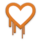 ikon Heartbleed Detector