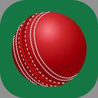 Betway cricket guide tips icône