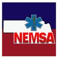 NEMSA