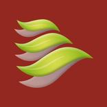 Breaking Free Companion Canada