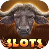 Safari Animals Slots Free