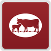 BharatSanjeevani Cow Sanctuary