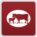 BharatSanjeevani Cow Sanctuary APK