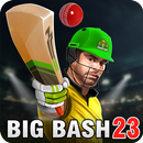 Giải vô địch Cricket Aussies APK