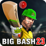 Aussie T20 Cricket Game 2023 APK