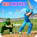 APK Cricket Championship Game 2024