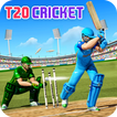 Cricket Championship Game 2024