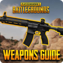 Battleground Weapon Guide-APK