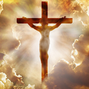 APK All Bible Complete Stories