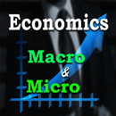 Economics Macro and Micro APK