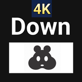 Hamster Video Downloader icon