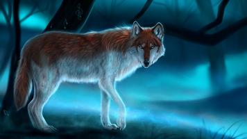 Poster Sfondi di lupo