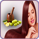 Healthy hair -Tips APK