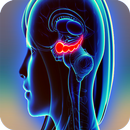 Humans body amazing facts APK