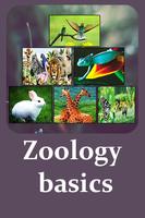 Zoology Basics Ekran Görüntüsü 3