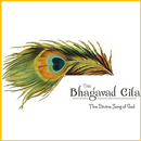 Shrimad Bhagavad Gita - Audio APK