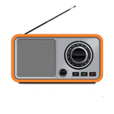 Bharati Radio icône